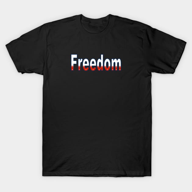 Freedom - USA T-Shirt by rayraynoire